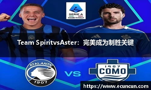 Team SpiritvsAster：完美成为制胜关键