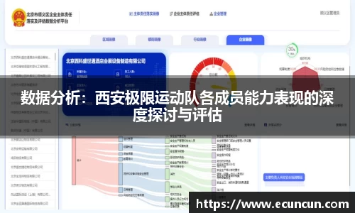 数据分析：西安极限运动队各成员能力表现的深度探讨与评估